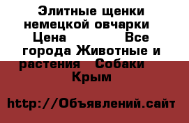 Элитные щенки немецкой овчарки › Цена ­ 30 000 - Все города Животные и растения » Собаки   . Крым